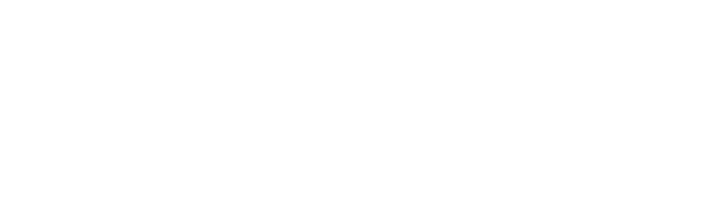 Wibbitz